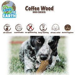 SPOT Bois Café: utilisation quotidienne pour chiens forts et gros mâcheurs.
