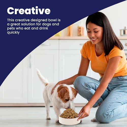 Bol SPOT en ceramique chat et petits chiens antiglisse, repas sans debordement