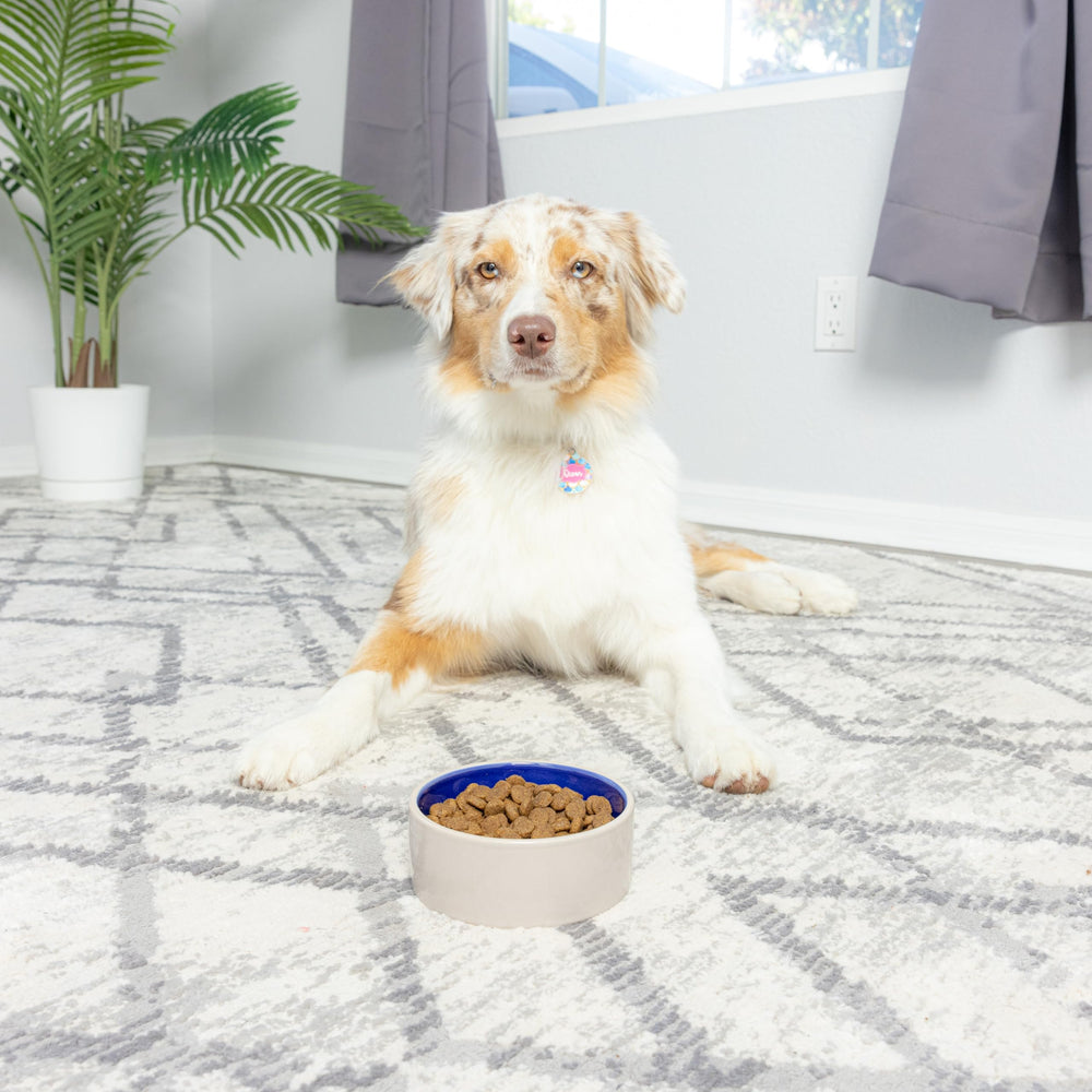 Design elegant SPOT s integre dans la cuisine