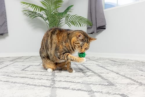 SPOT Boules chat-nip-incorporees, stimulent les sens lors du jeu.