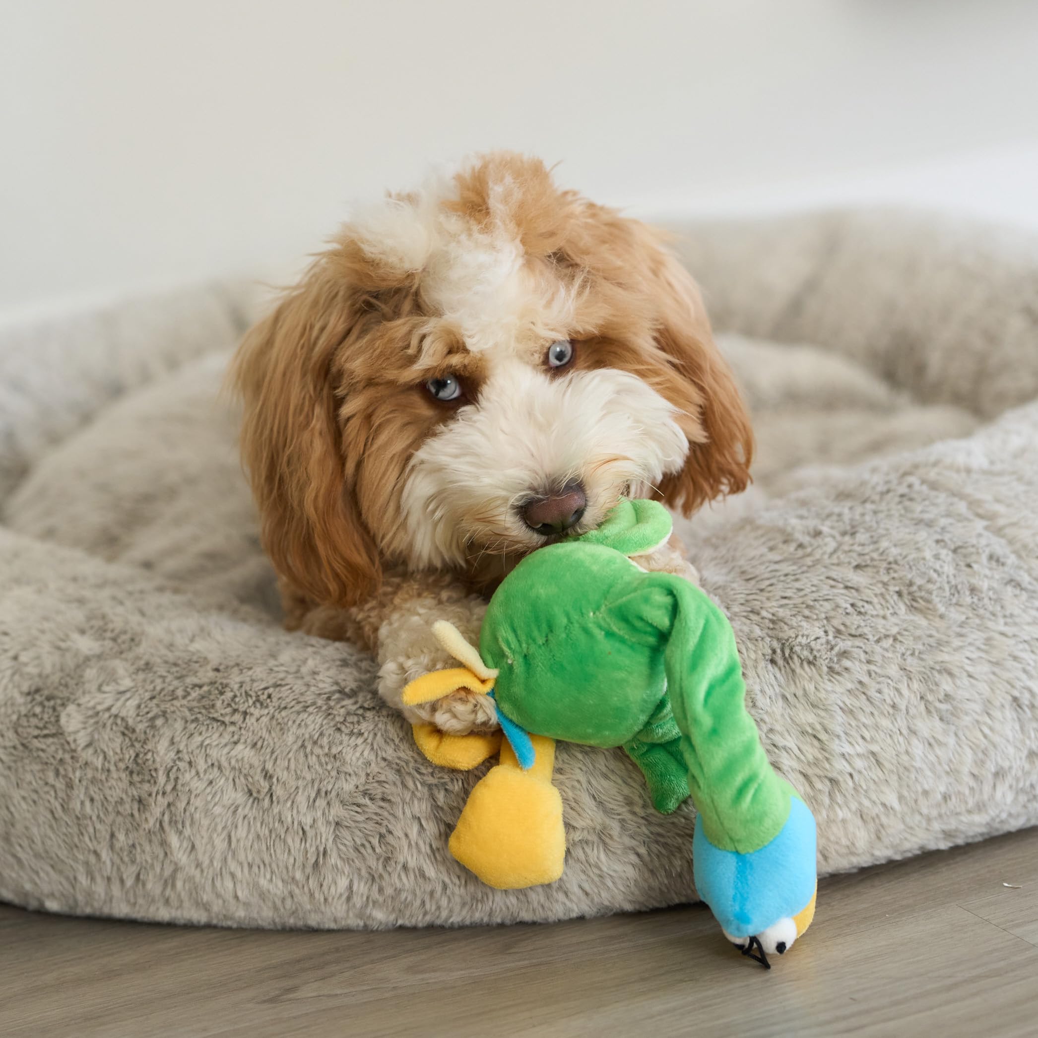 Jouet léger SPOT Chirpies adapté petits et moyens chiens