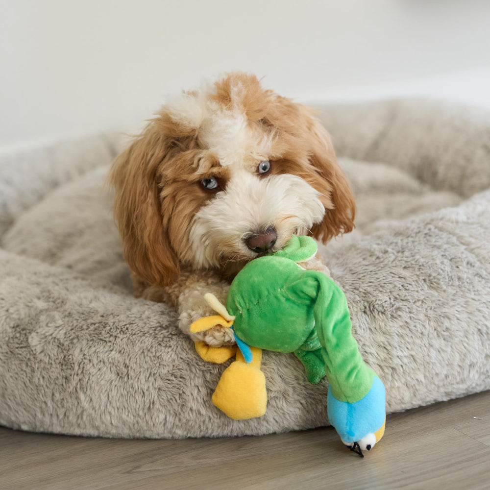 Jouet léger SPOT Chirpies adapté petits et moyens chiens