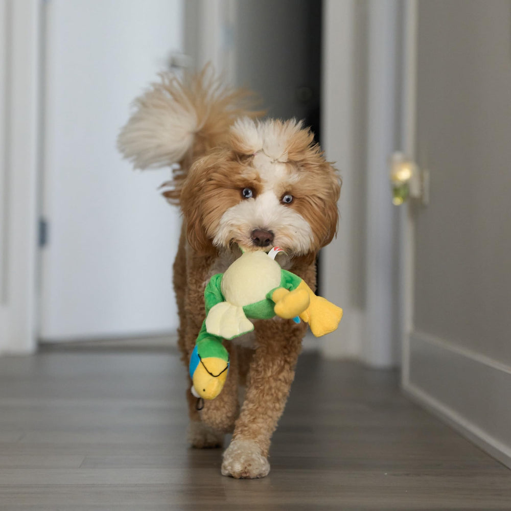 Peluche douce SPOT Chirpies idéale pour chiens