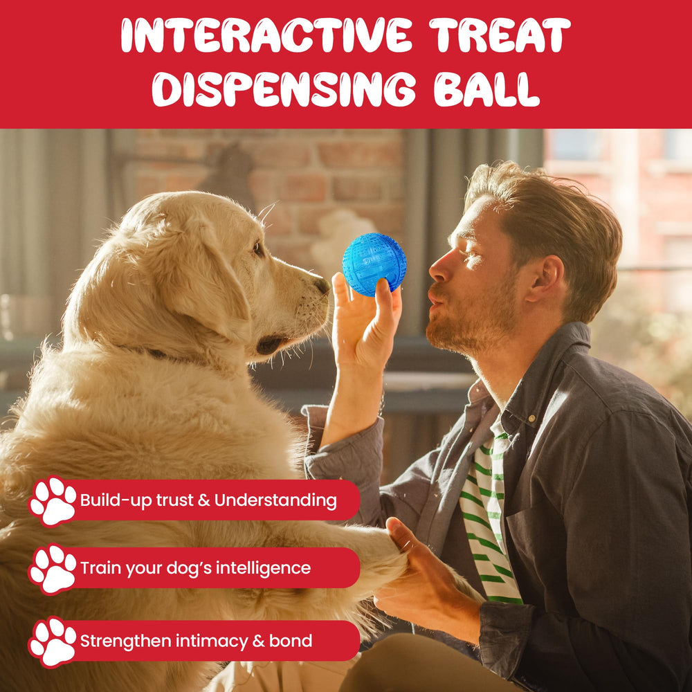 SPOT Dura-Brite Treat Ball, couleur violette, parfait pour distractions actives.