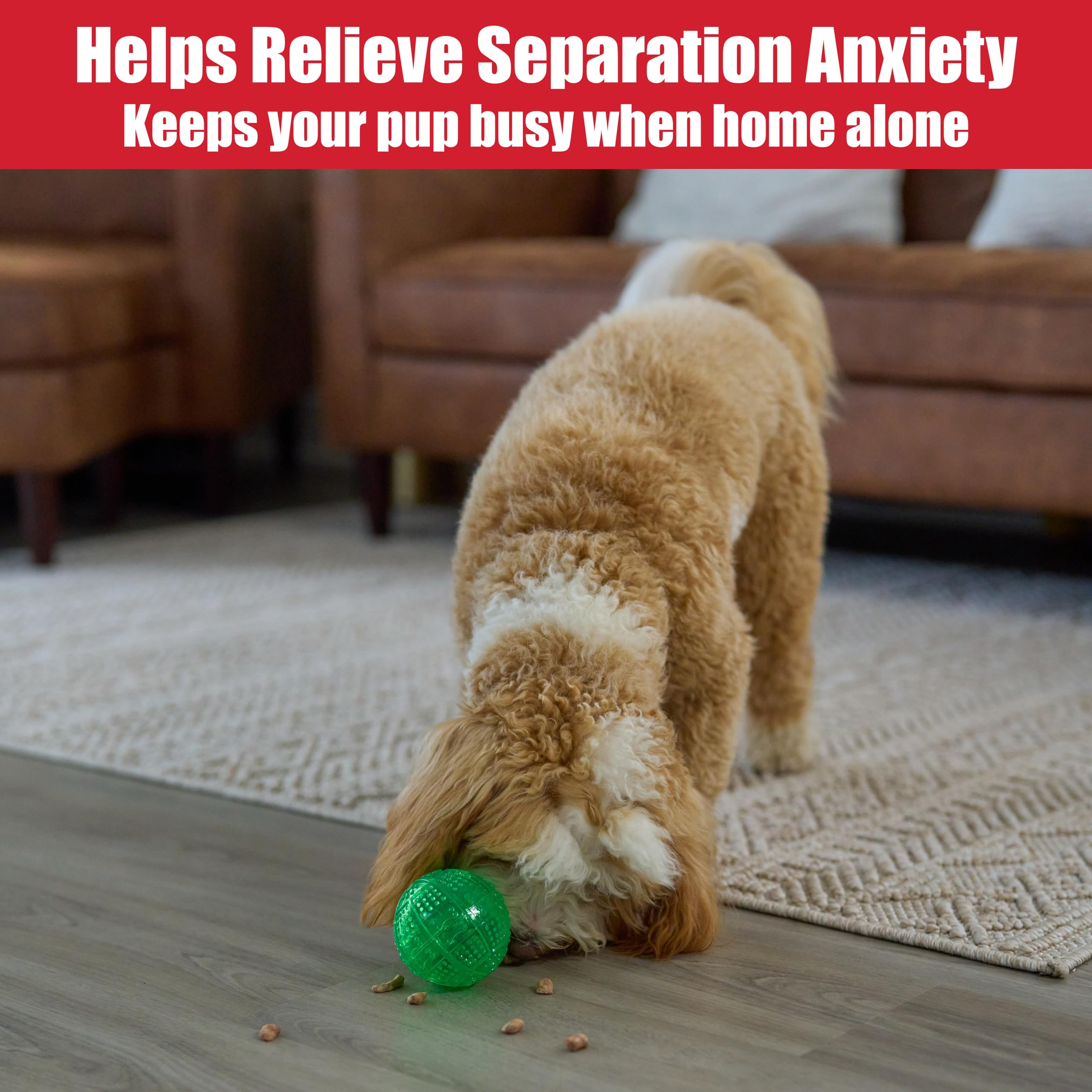 SPOT Dura-Brite Treat Ball, couleur bleue, idéal pour chiens énergiques.