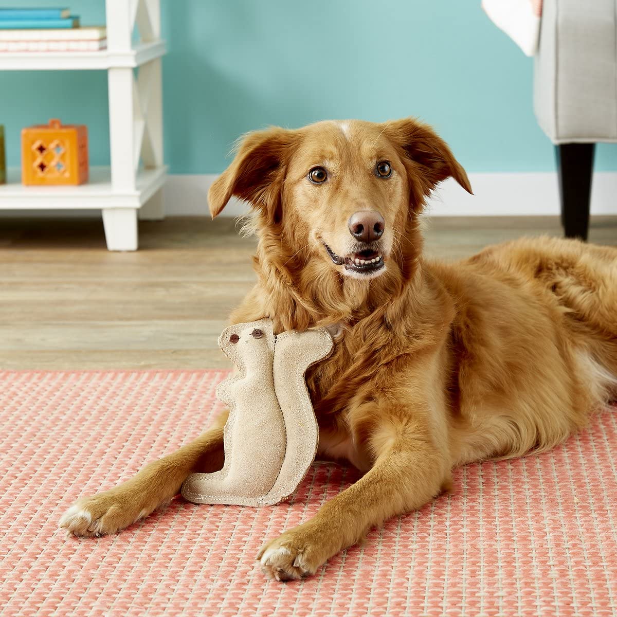 SPOT jouet cuir avec rembourrage doux pour un confort de mastication
