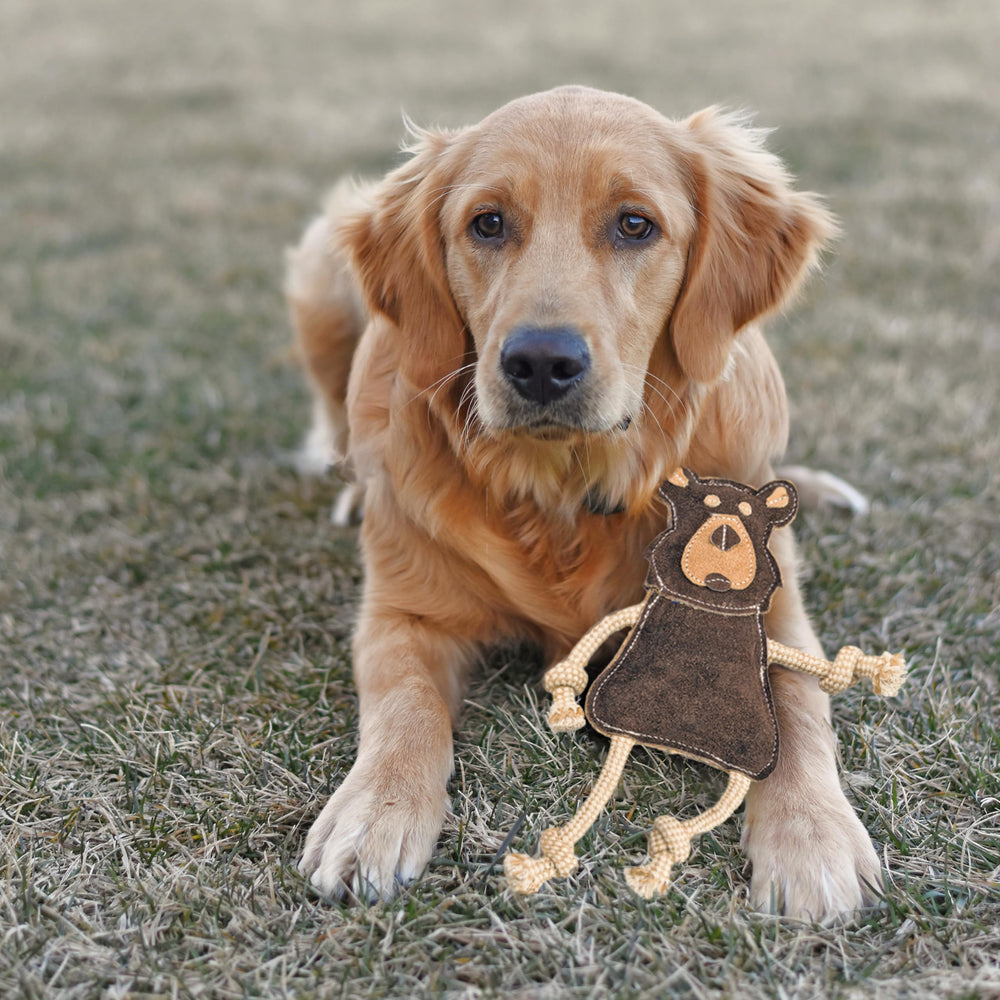 Longueur de 14 pouces pour rapporter et câliner votre chien.