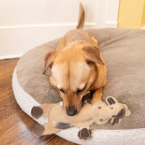 SPOT Dura-Fused Leather Barnyard Animal Onze Pouces—taille adaptée pour le lancer