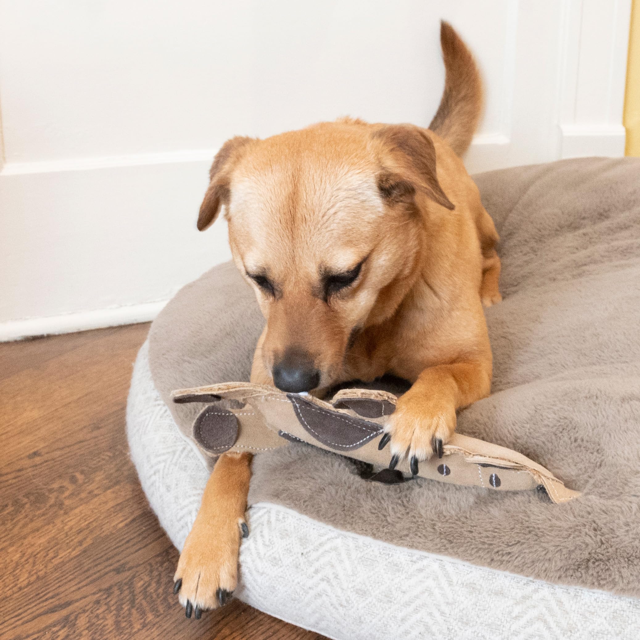 SPOT Dura-Fused Leather Barnyard Animal Sheep—jouet doux et robuste pour chiens actifs