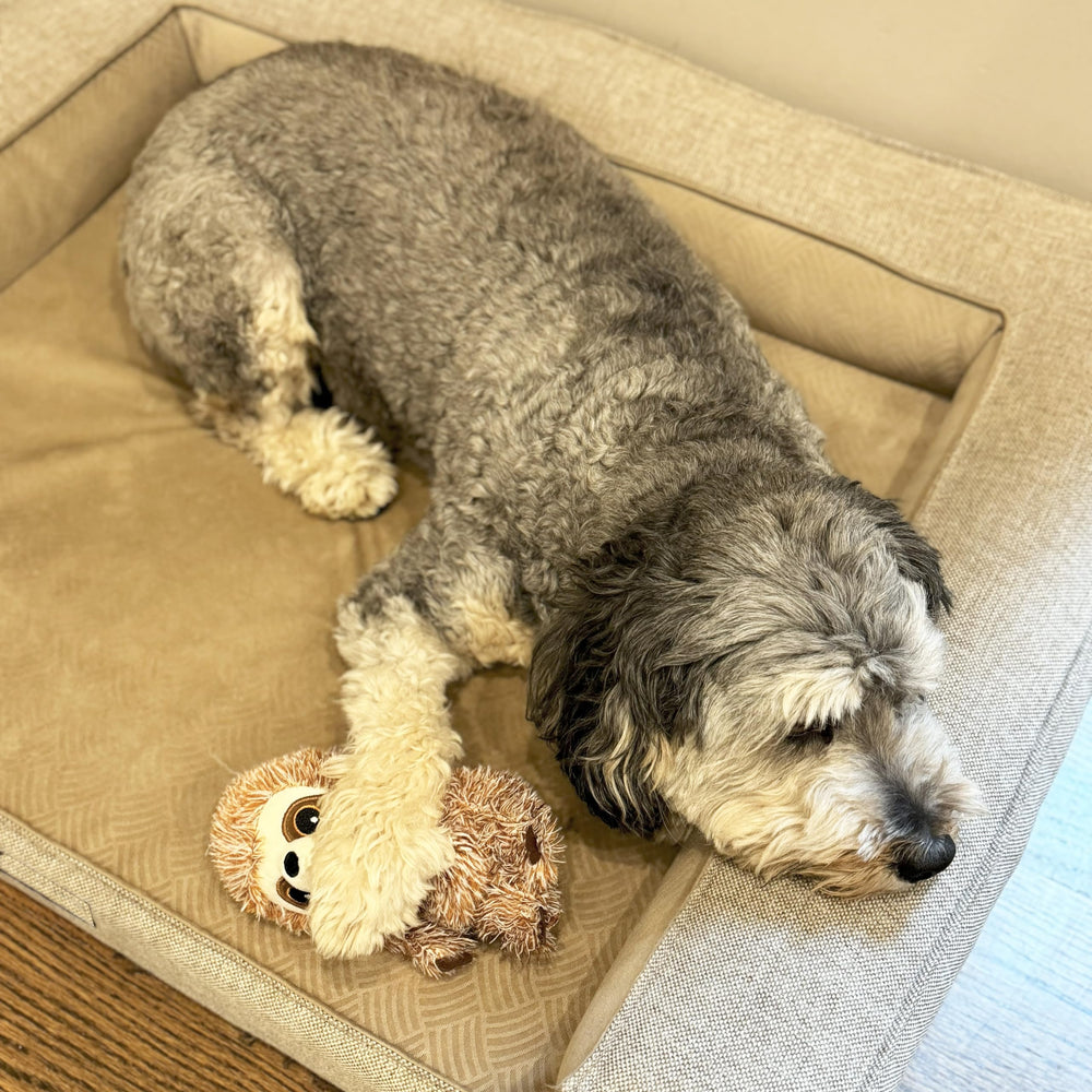 Jouet Spot Fun Sloth 7 pouces, idéal pour petits et mini chiens.