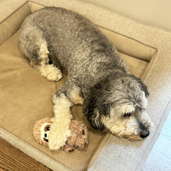 Jouet Spot Fun Sloth 7 pouces, idéal pour petits et mini chiens.