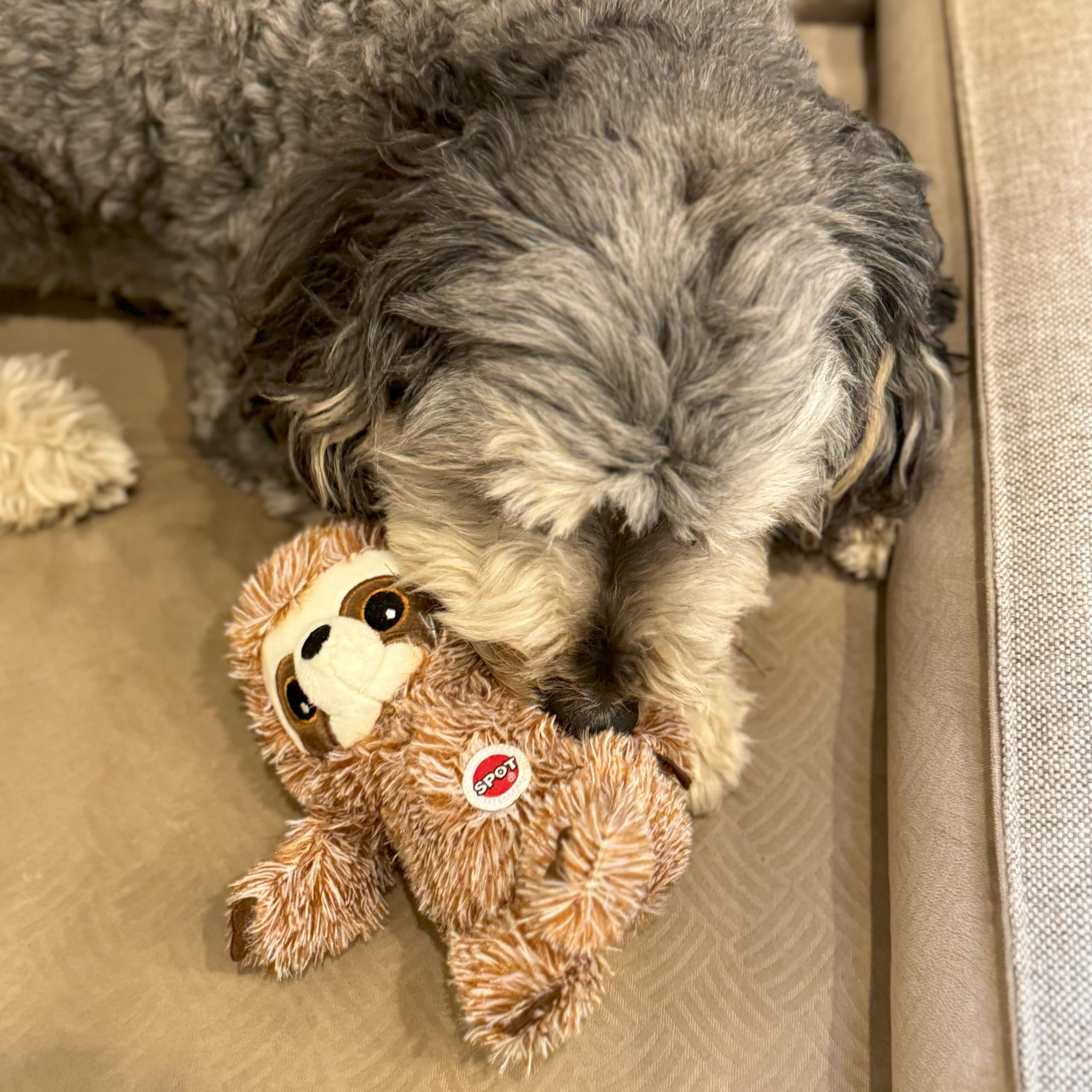 Spot Fun Sloth, compagnon nocturne réconfortant pour câlins et siestes.