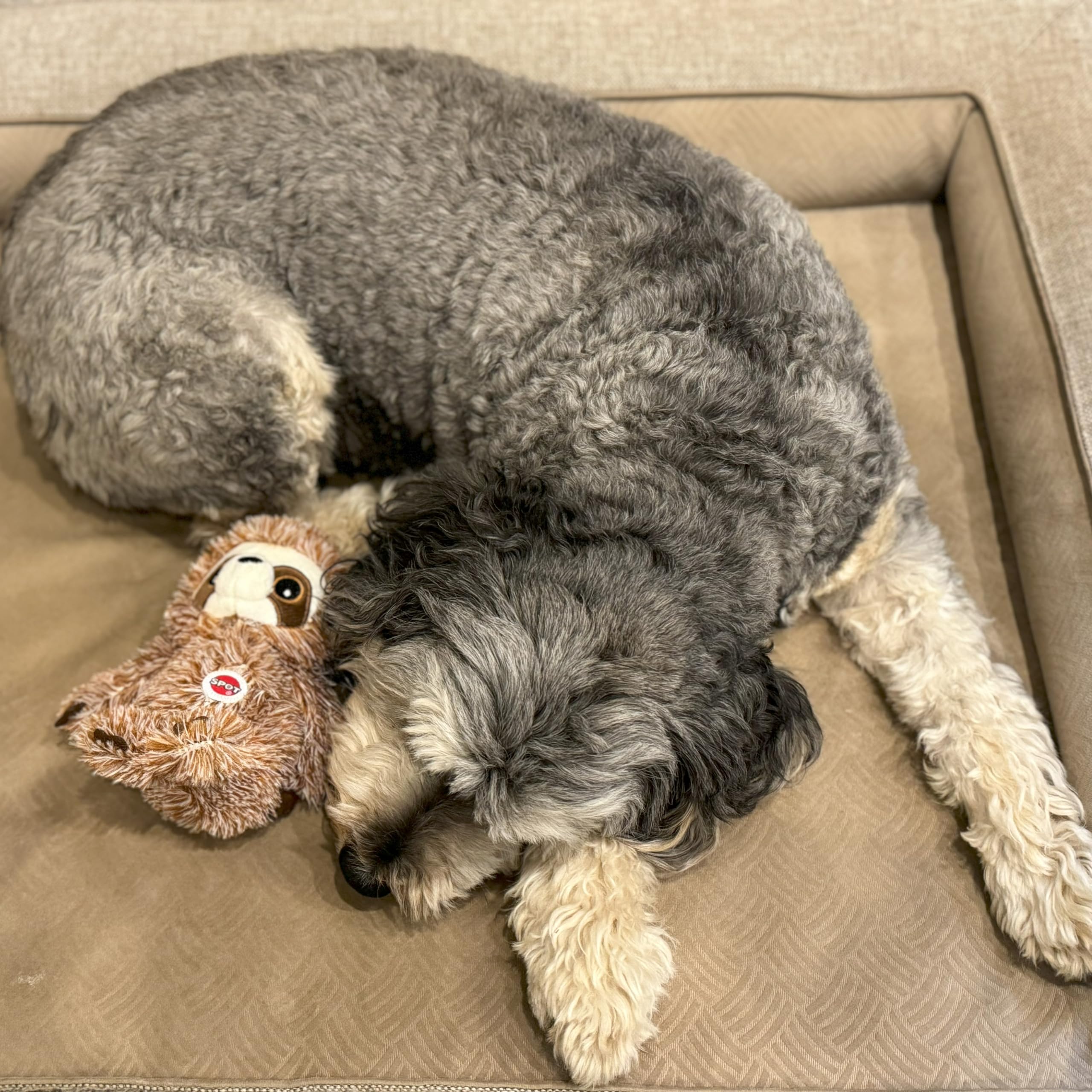 Spot Fun Sloth : peluche avec couineur pour enrichir les jeux quotidiens.