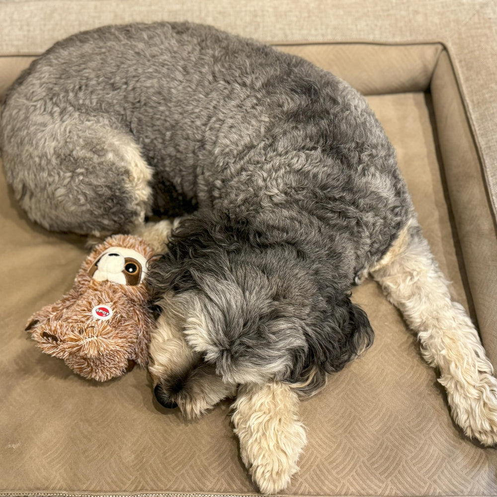 Spot Fun Sloth : peluche avec couineur pour enrichir les jeux quotidiens.
