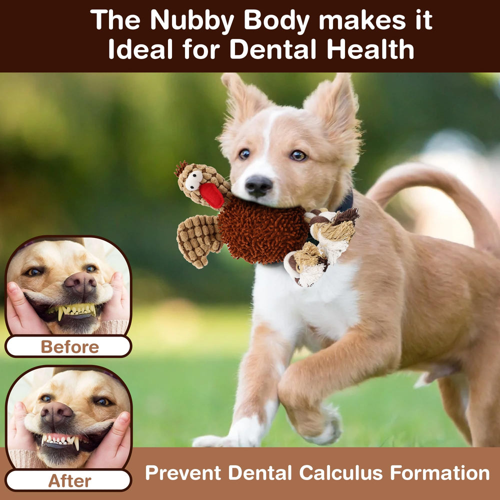 Utilisation en jeu interactif pour chiens actifs