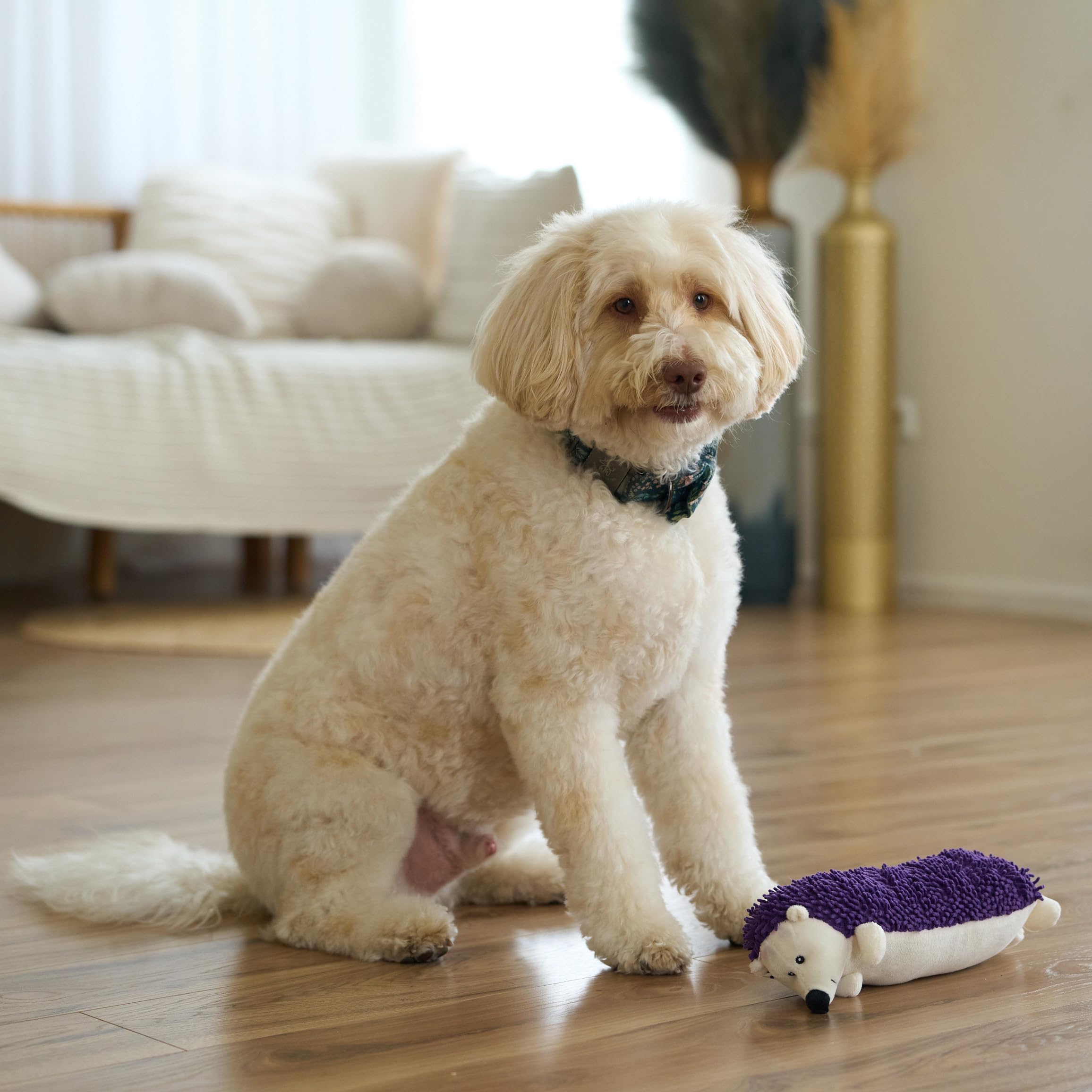 SPOT Gigglers Hérisson Texture Douce pour chiens seniors.