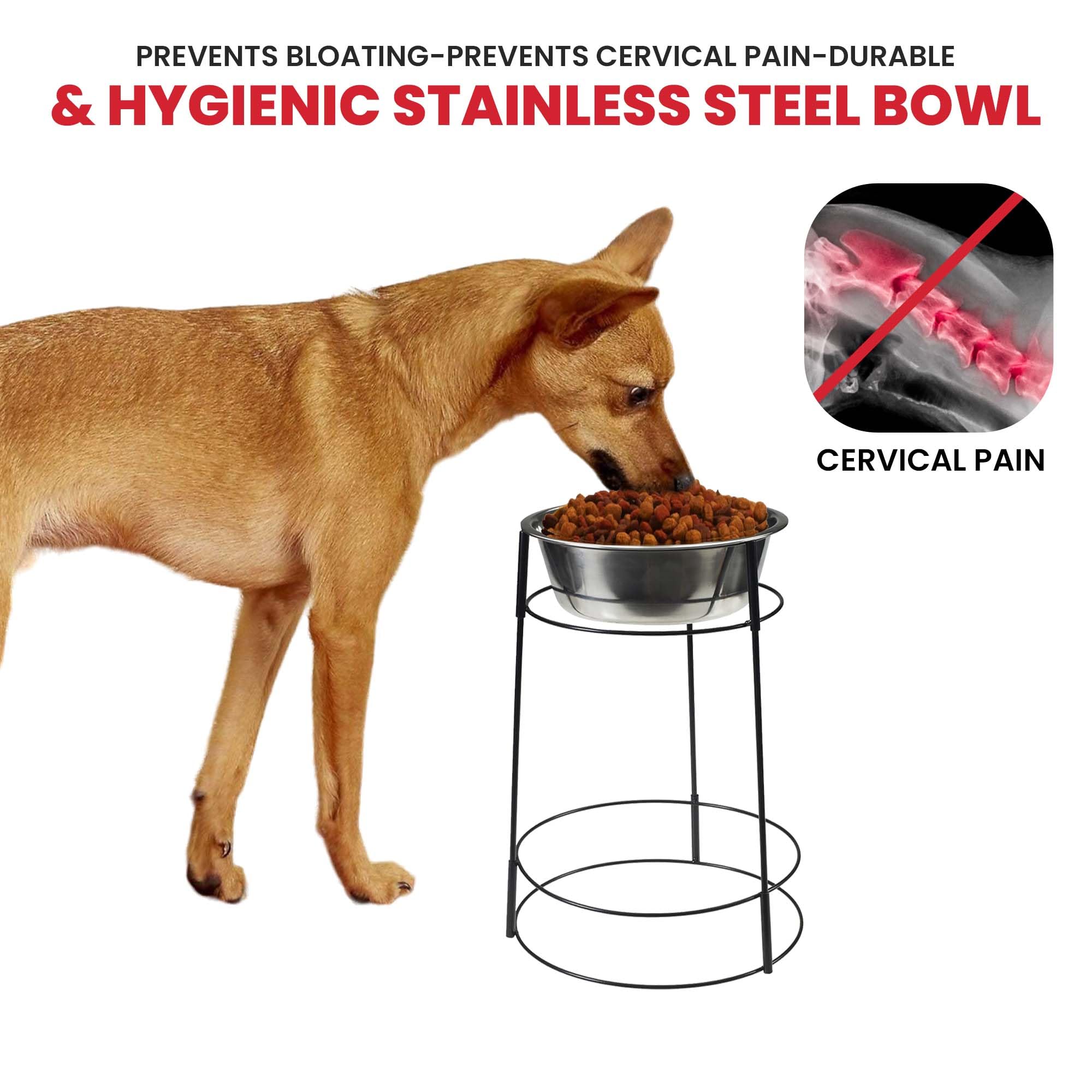 Spot Hi Rise hauteur 15 pouces adaptée pour chiens de tailles moyennes et grandes