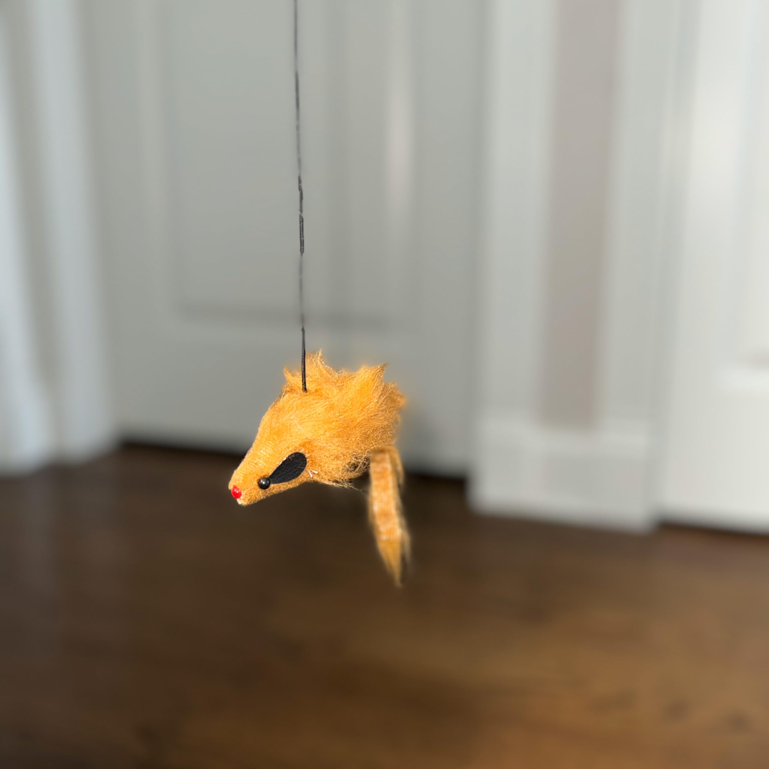 Jouet quotidien stimulant le chat à la maison.
