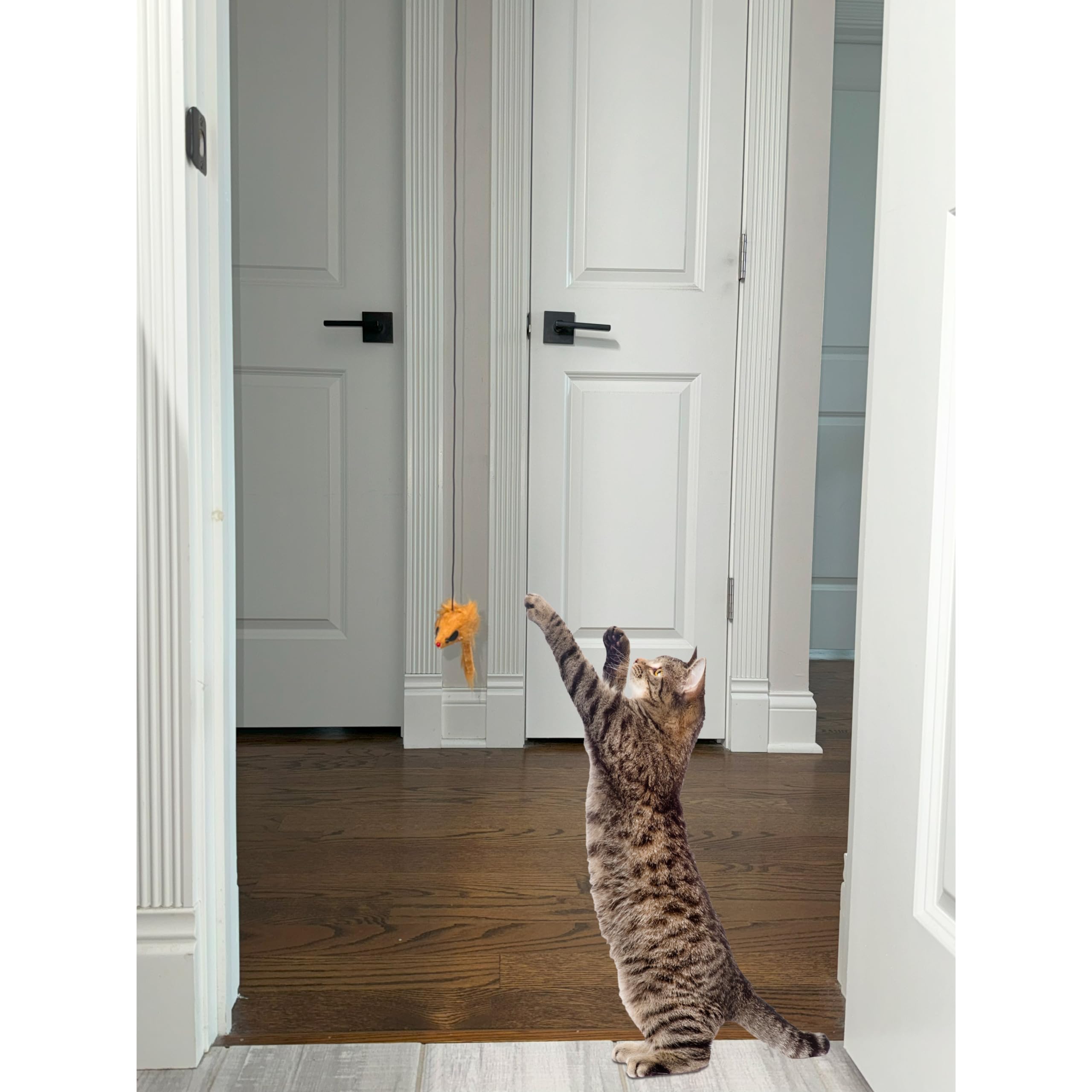 Jouet-chat-stimulation-instinct-chasse.