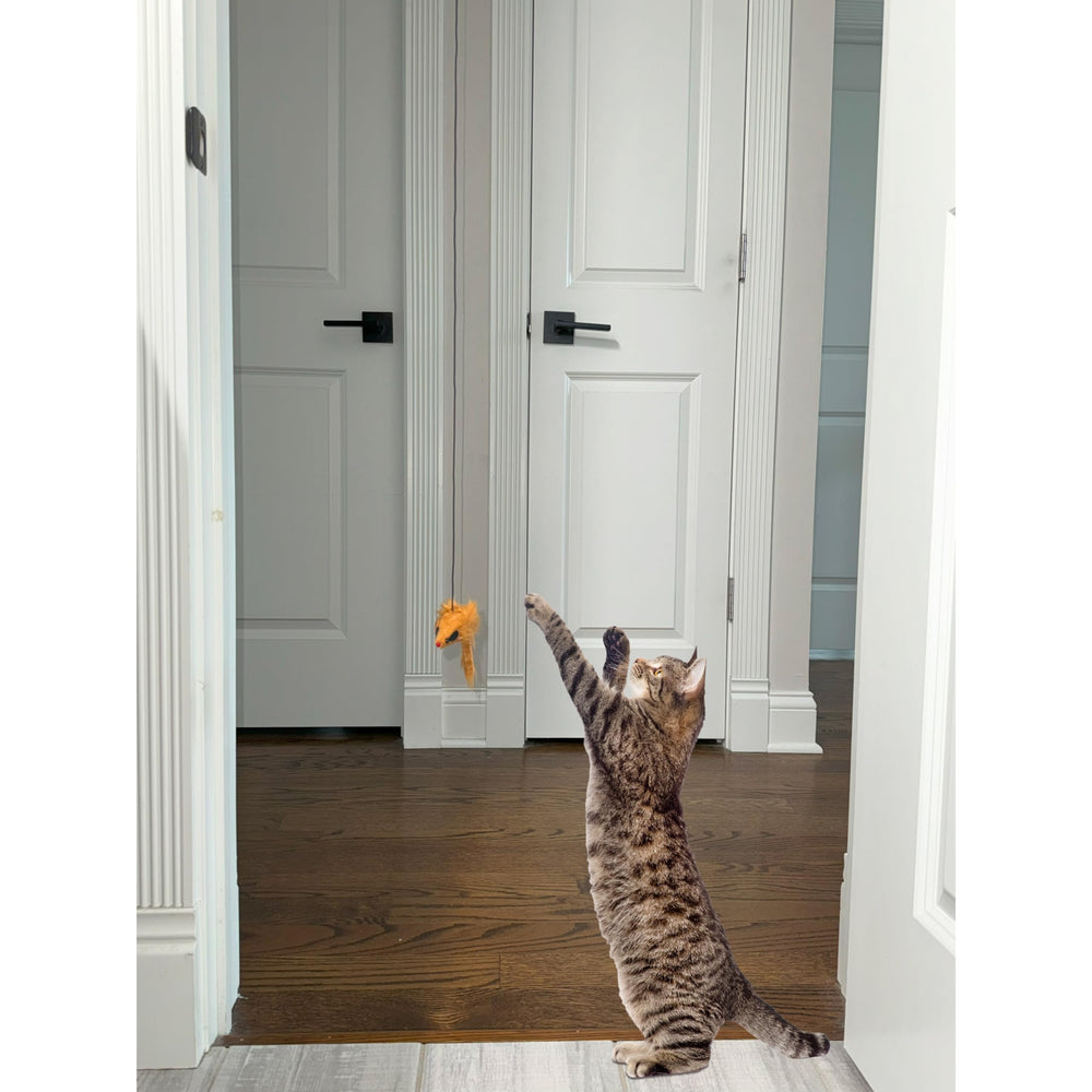 Jouet-chat-stimulation-instinct-chasse.