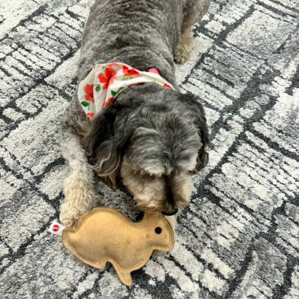 SPOT jouet lapin stimulation mentale, utile pour occuper l’esprit du chien.