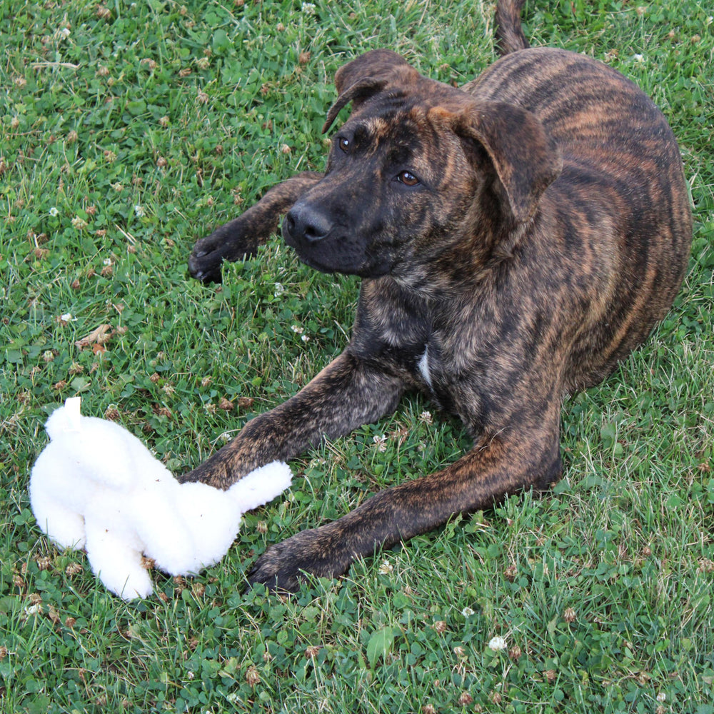 SPOT lapin entretien simple, lavage doux et rangement pratique.