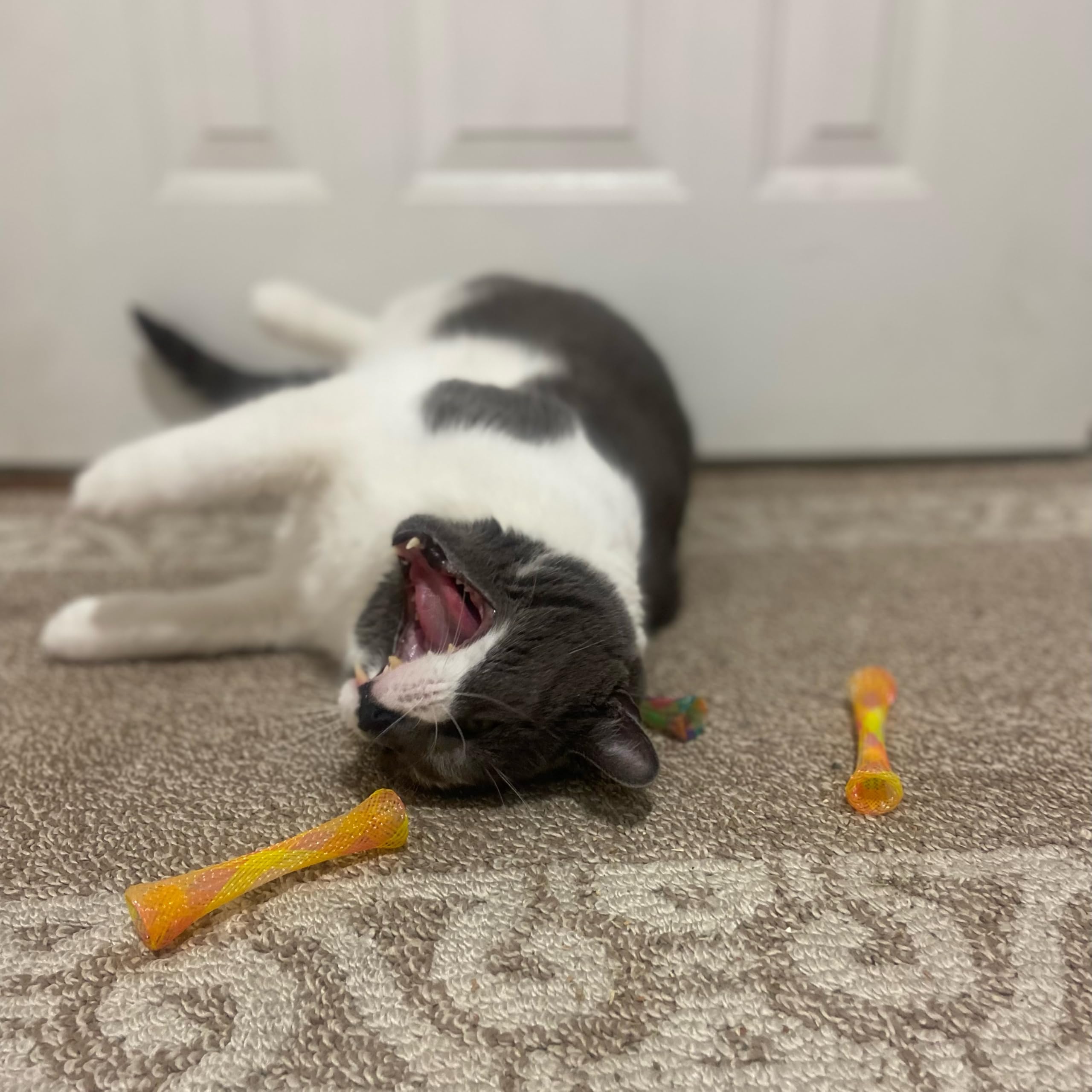 SPOT Tubes minou — couleurs vives qui stimulent le jeu.