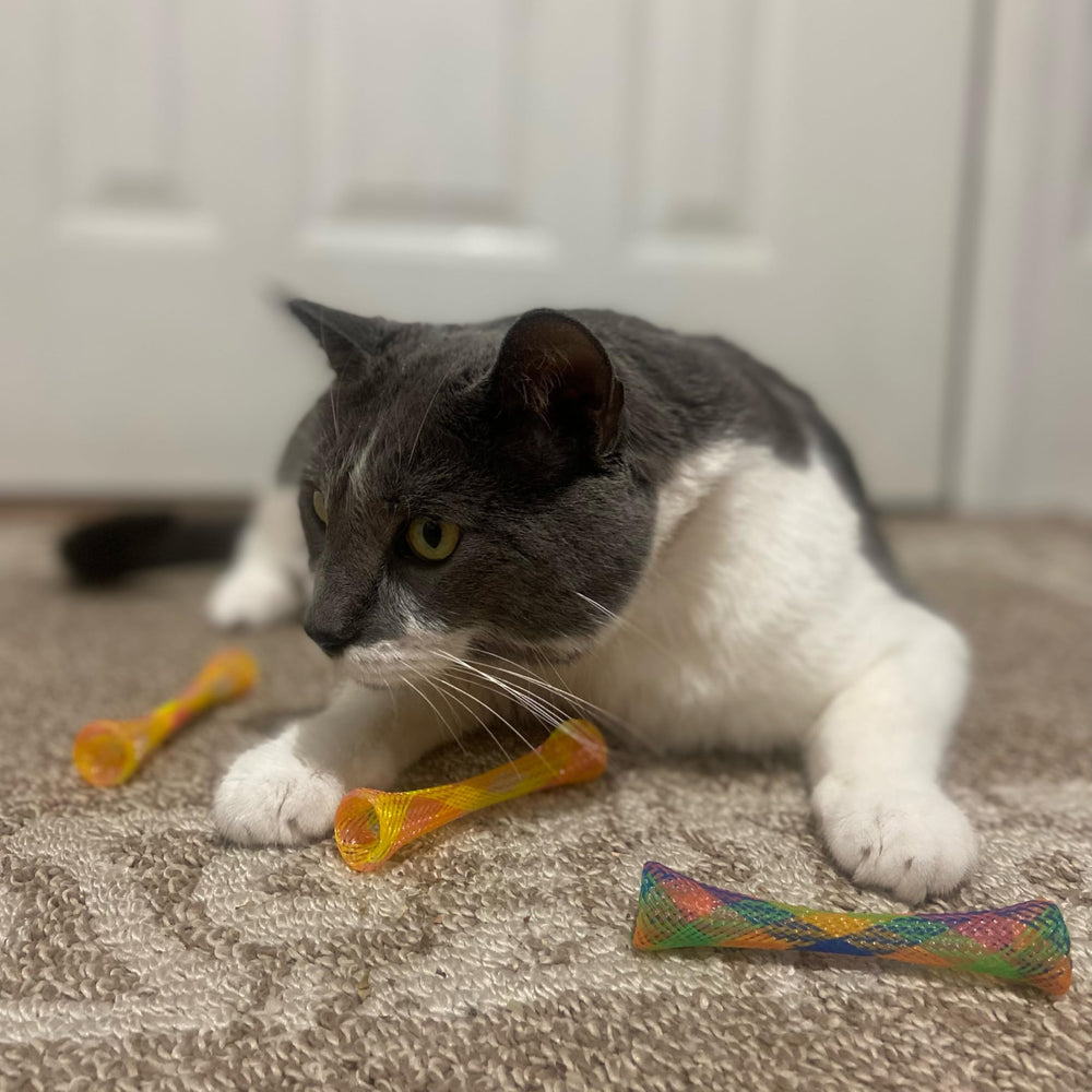SPOT Tubes minou — stimulation sensorielle grâce au maillage et à la cataire.