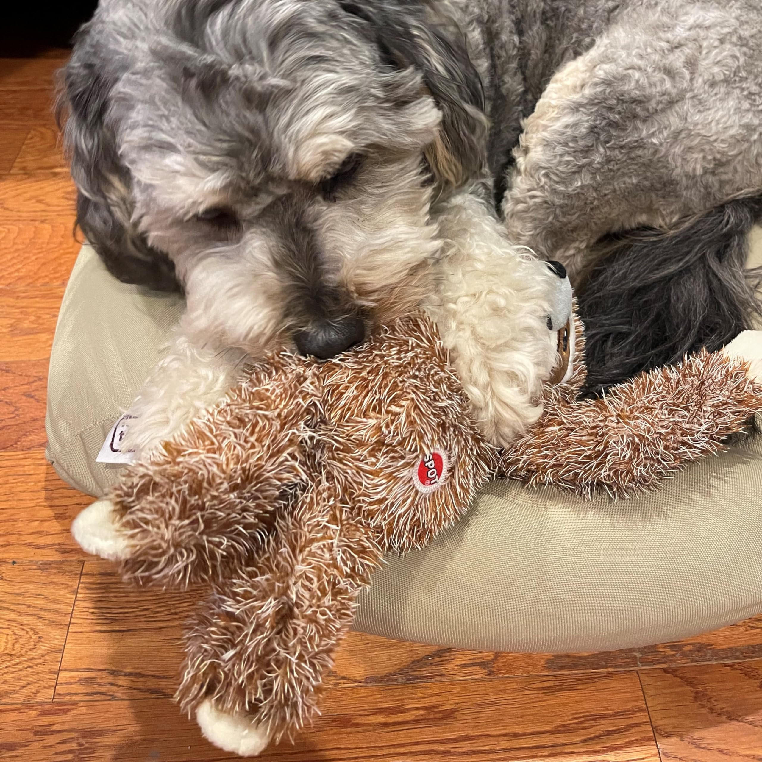 SPOT Fun Sloth jouet peluche grand format, stimulation ludique et sûre.