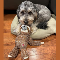 SPOT Fun Sloth jouet peluche, usage nocturne et détente sur canapé.