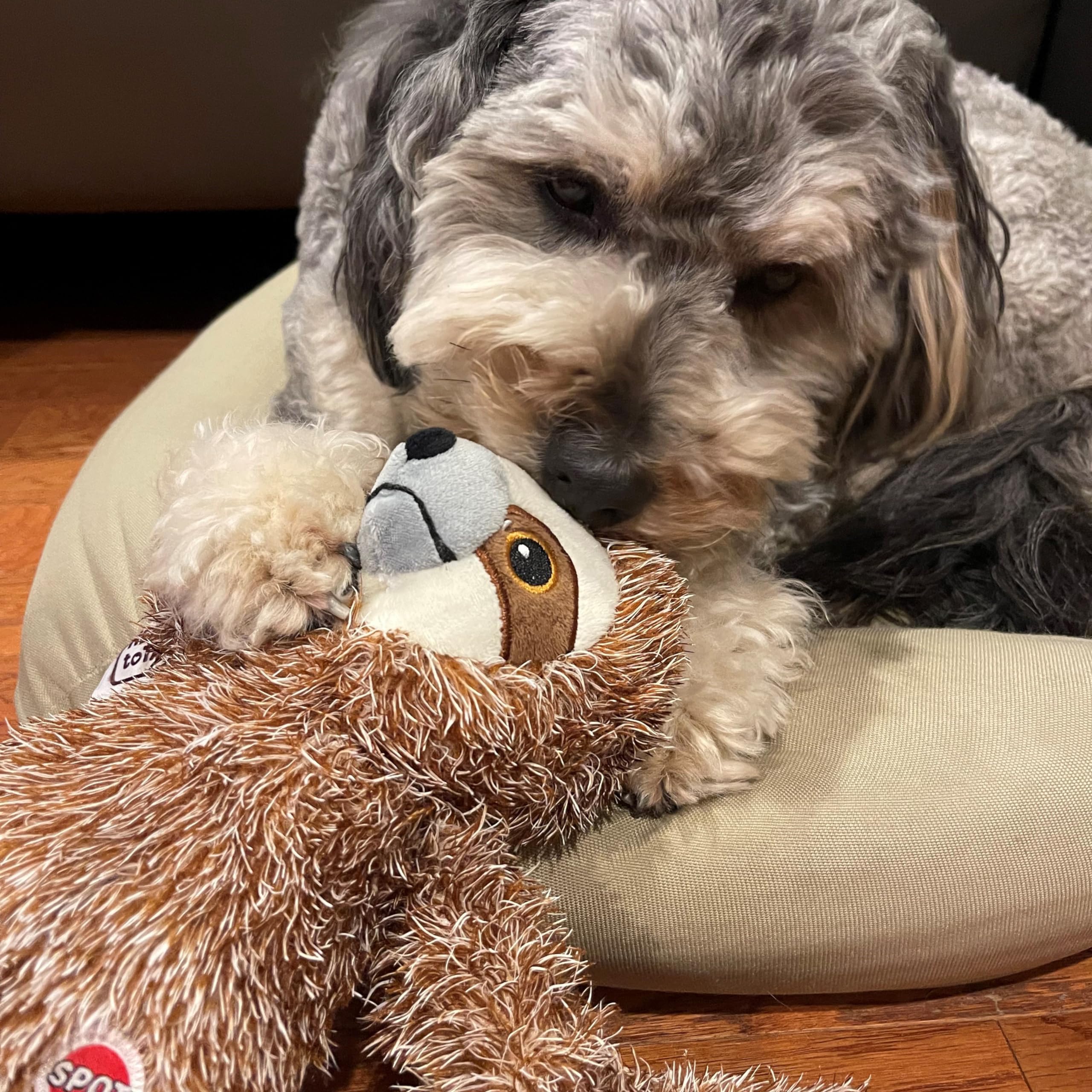 SPOT Fun Sloth peluche douce, compagnon apaisant pour routine quotidienne.