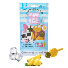 SPOT Pup Ice – boules poulet, rafraîchissement sûr pour chiots et petites races.