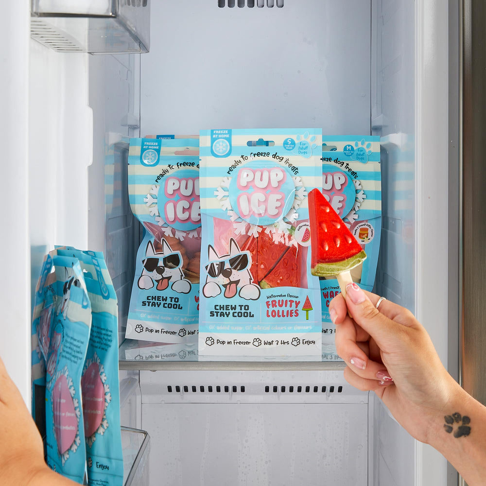 SPOT Pup Ice: formes variées pour chien, stimulation ludique et dégustation différente.