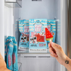 SPOT Pup Ice: formes variées pour chien, stimulation ludique et dégustation différente.
