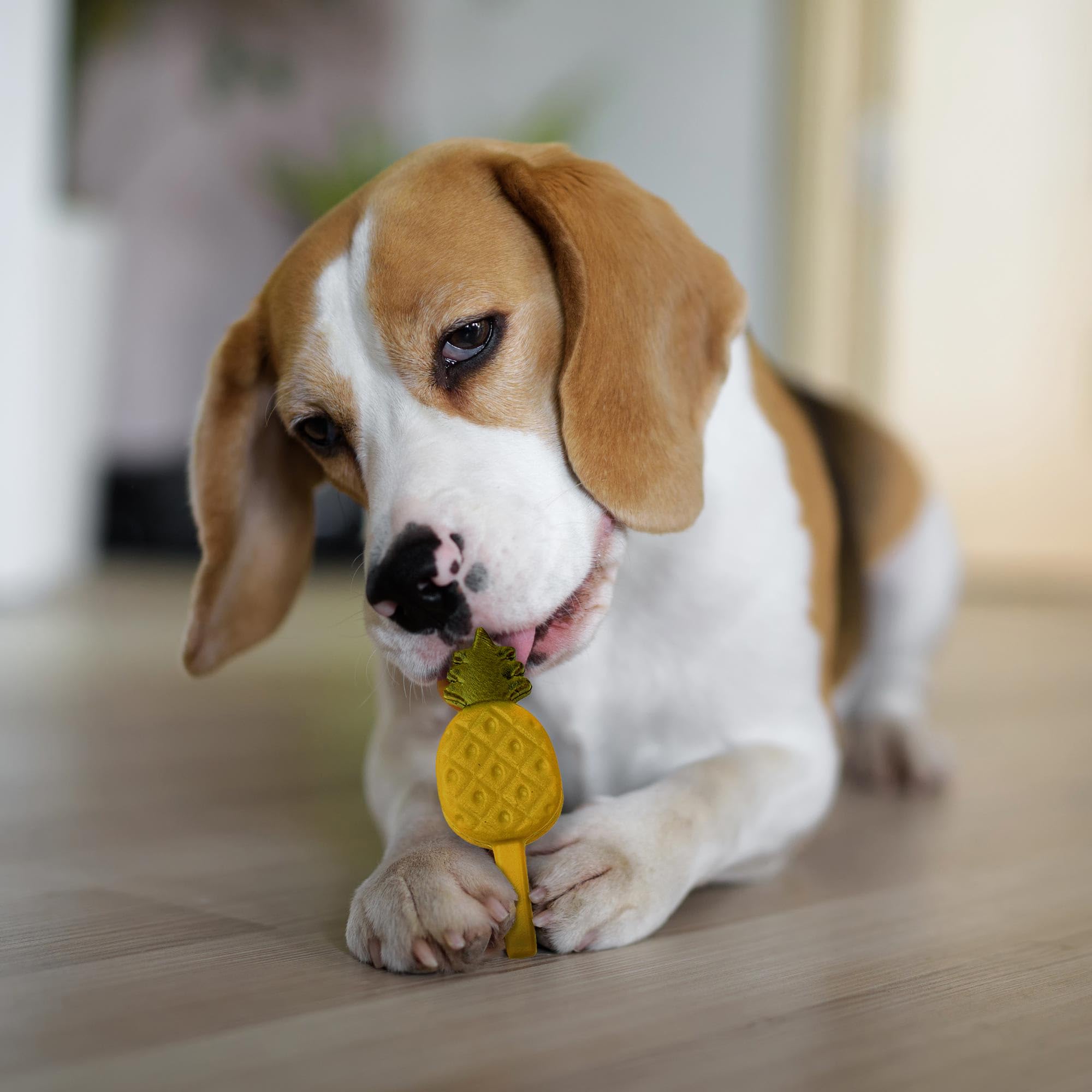 SPOT Pup Ice – glaces à congeler, rafraîchissement rapide pour l’été.