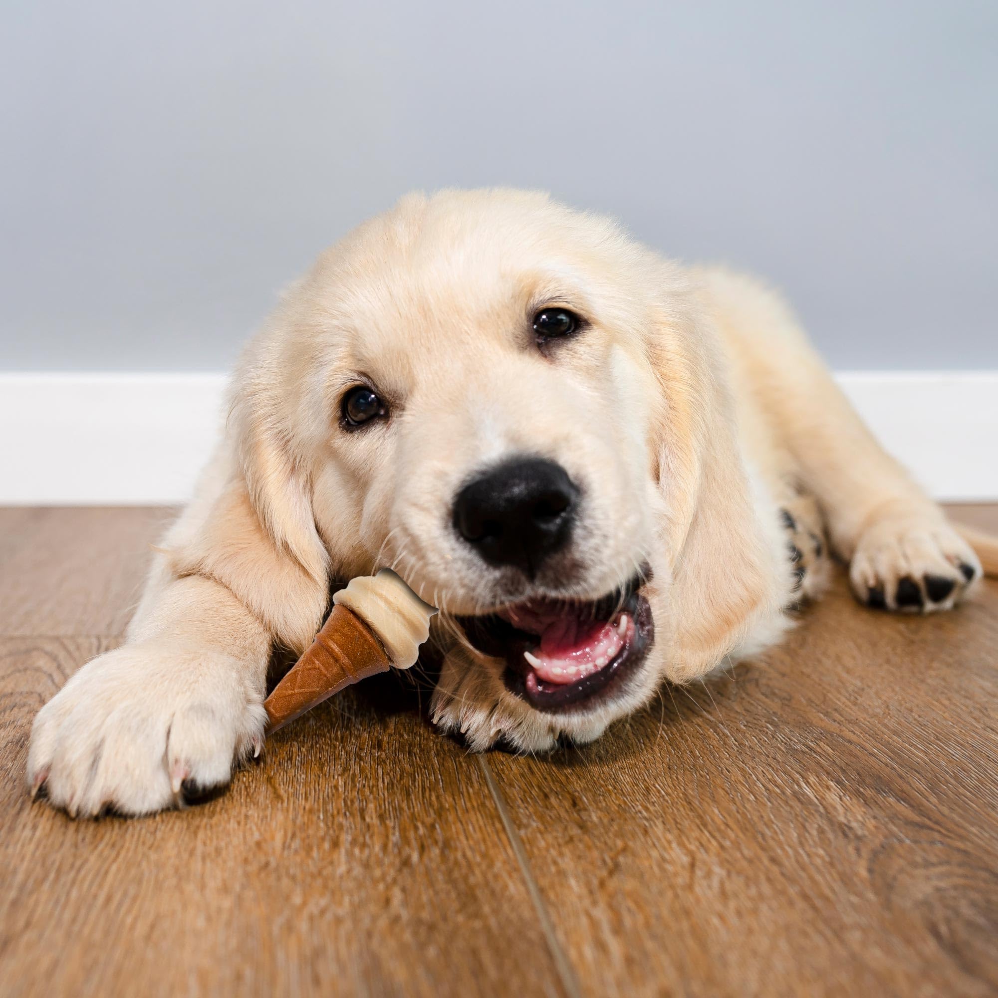 SPOT Pup Ice: prébiotiques pour soutenir la digestion.
