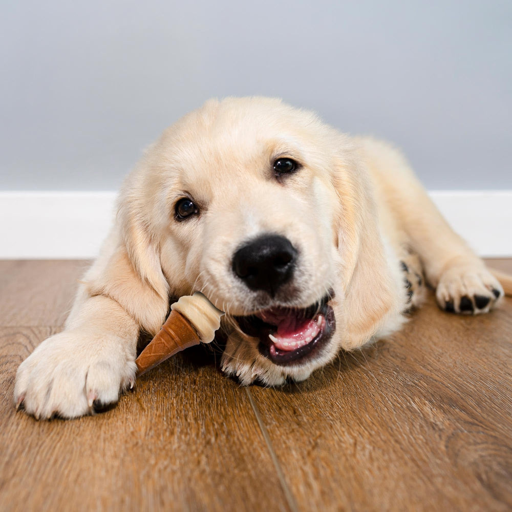SPOT Pup Ice: prébiotiques pour soutenir la digestion.