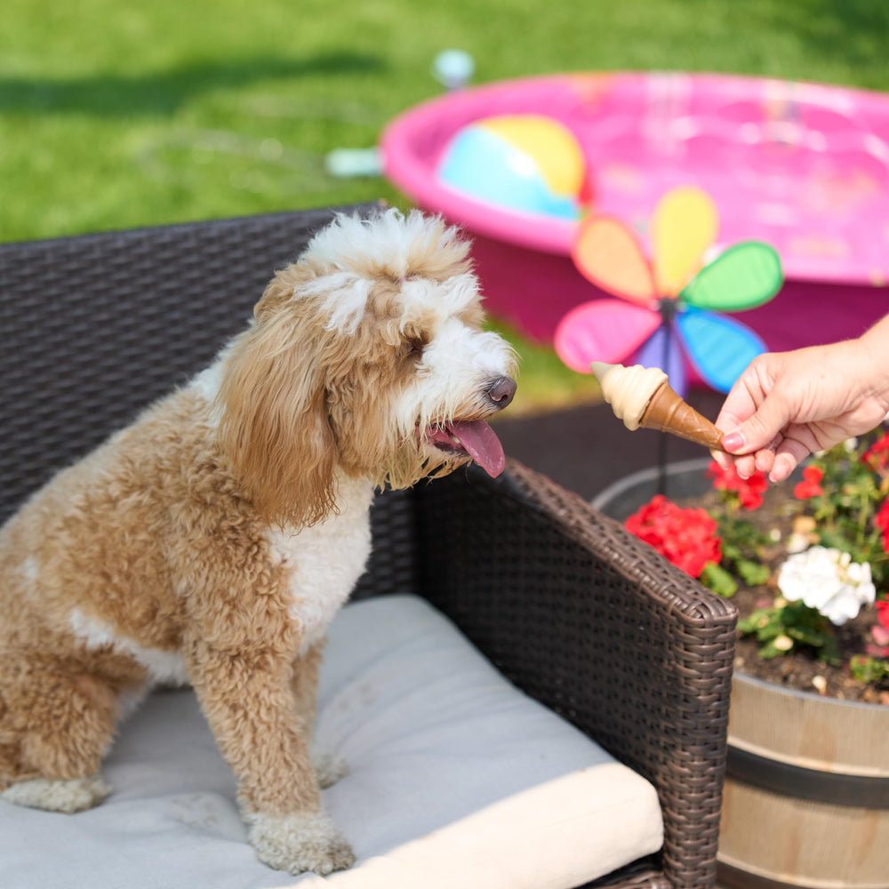 SPOT Pup Ice: congélation de 3 heures pour une glace dure.