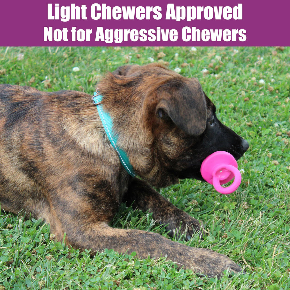 SPOT jouet latex coloré, options assorties pour chiots.