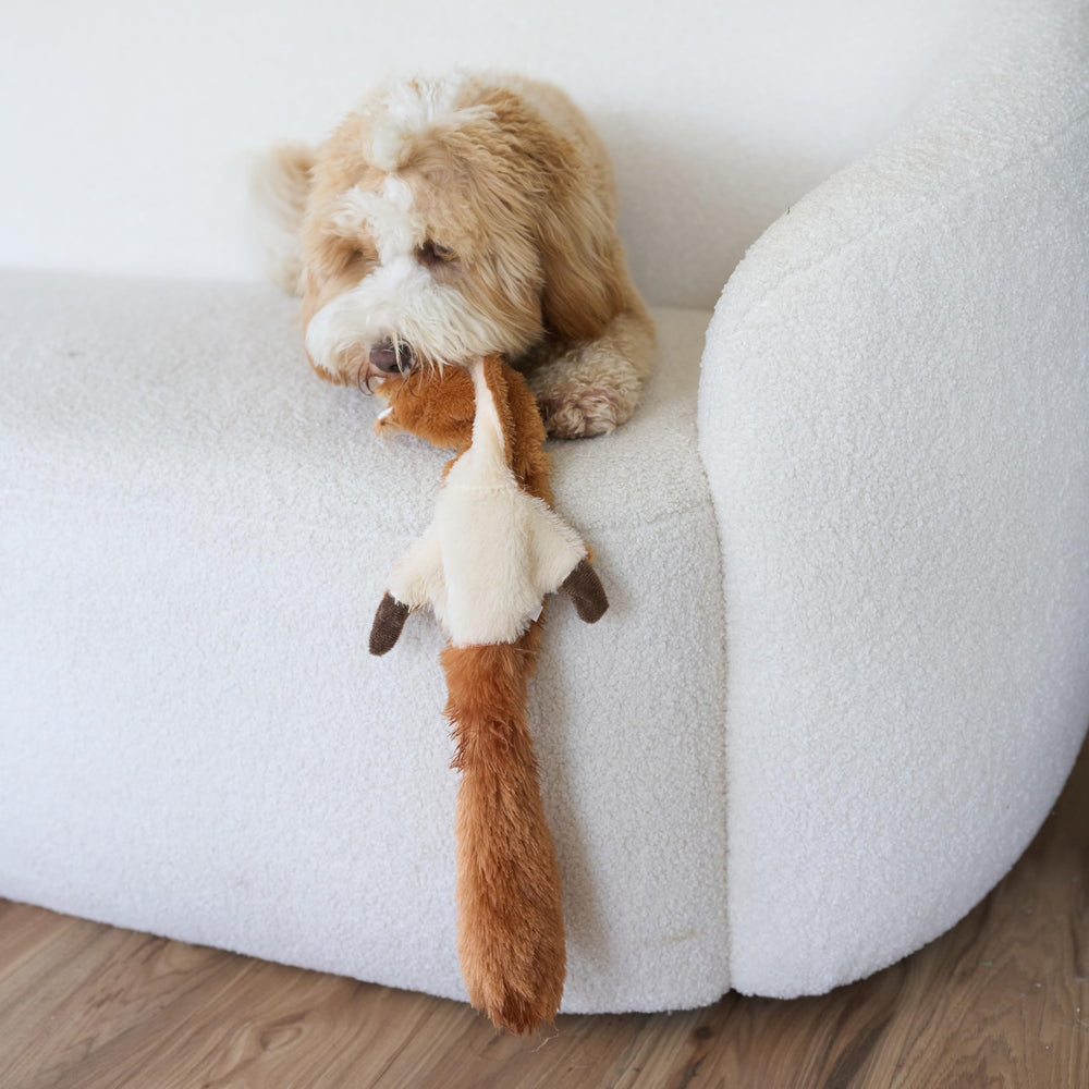 SPOT Skinneeez Écureuil adapté pour chiens moyens et grands.