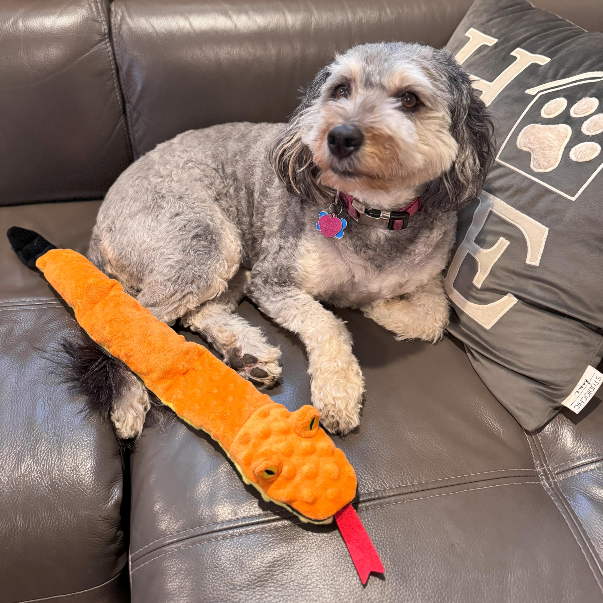 SPOT Skinneeez Extreme Longueur 25pouces — idéal pour les chiens moyens à grands.