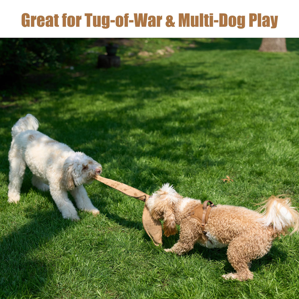 SPOT Skinneeez Usage Tug Interactif – idéal pour des jeux de tir et rapport.