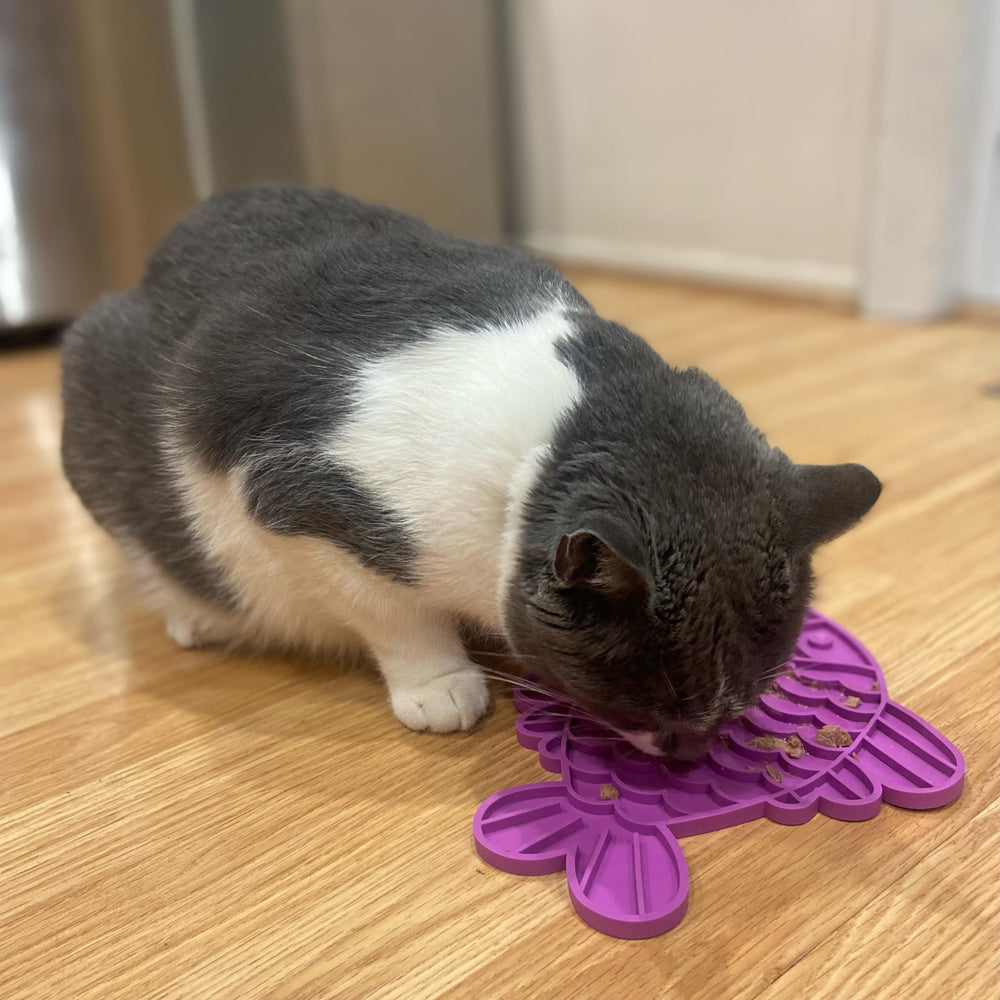 SPOT Soother Lick Mat usage pour chats et chiens