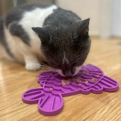 SPOT Soother Lick Mat longueur environ 25 cm convient à chiens et chats