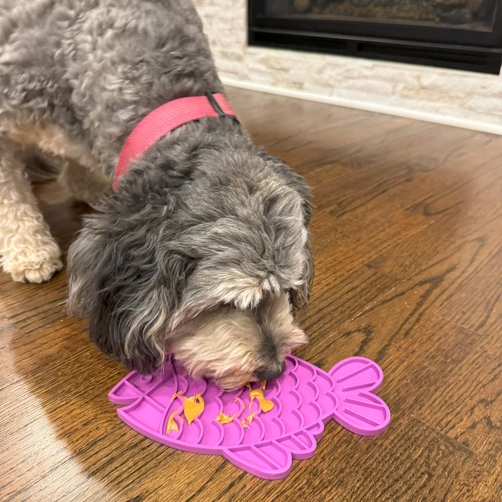 SPOT Soother Lick Mat nettoyage facile et lave-vaisselle