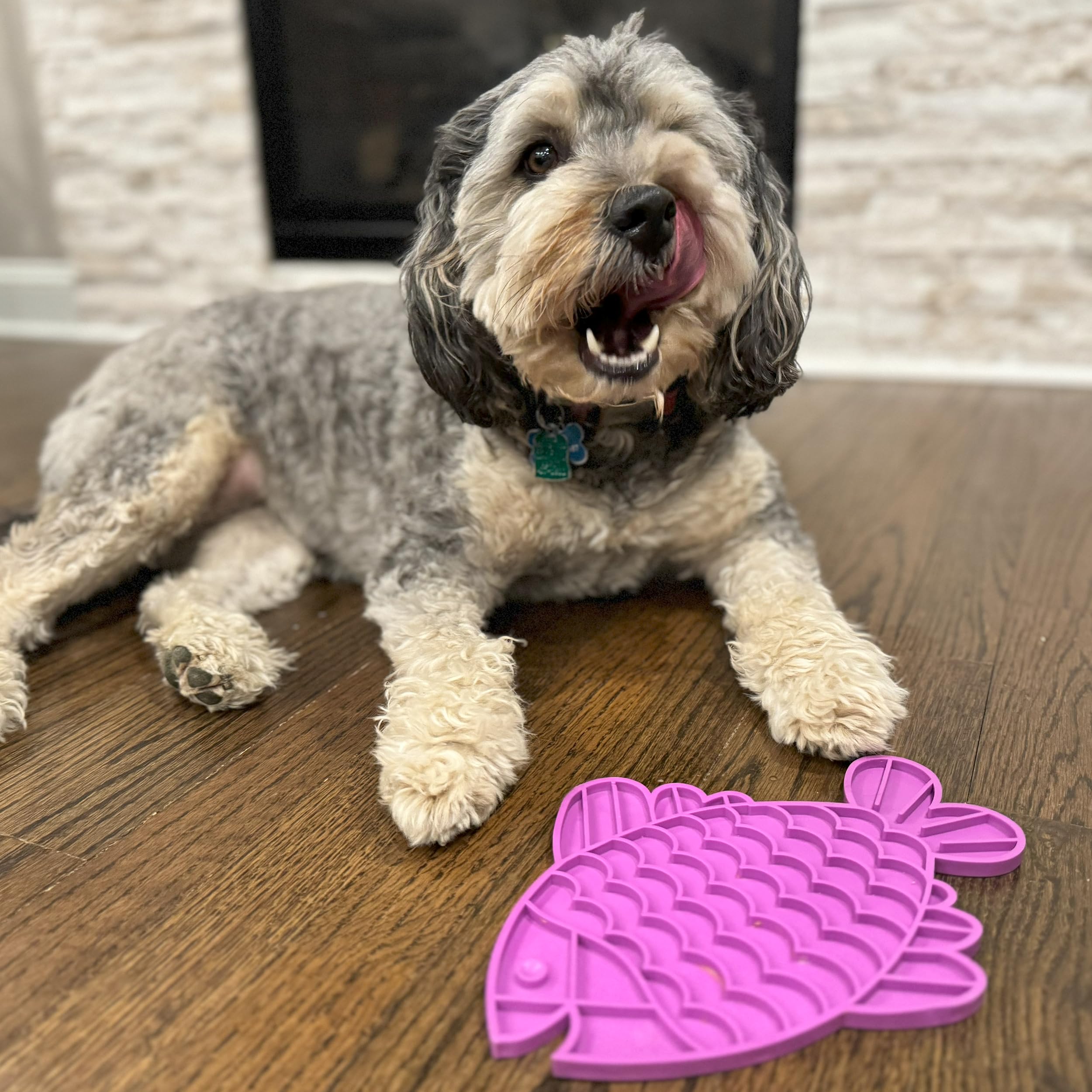 SPOT Soother Lick Mat usage pour friandises tartinables