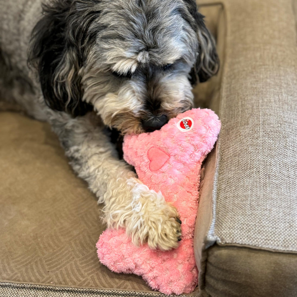 SPOT Soothers design sûr pour chiots et chiens de petite à moyenne taille.