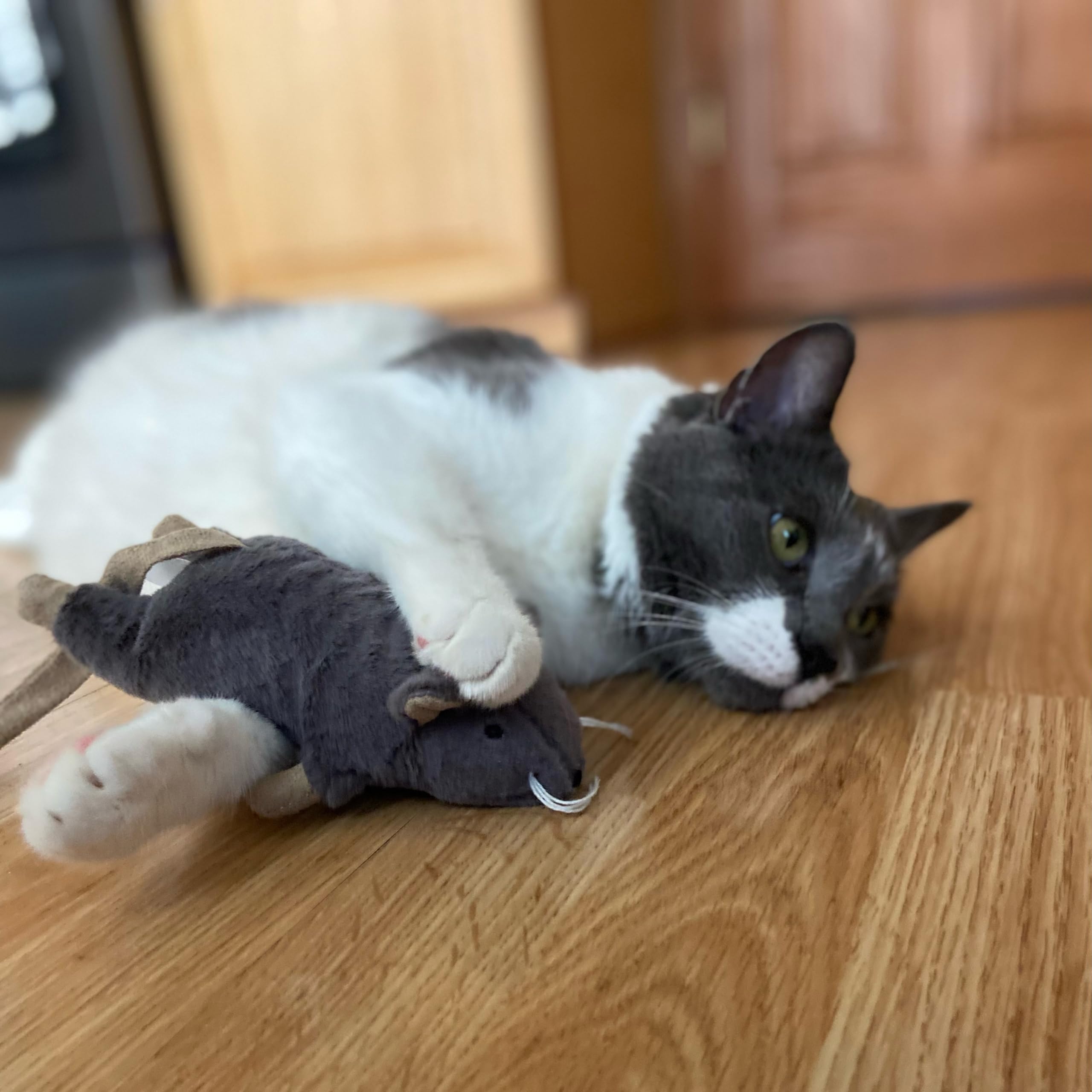 SPOT Souris Bertha en peluche douce et résistante pour chats.