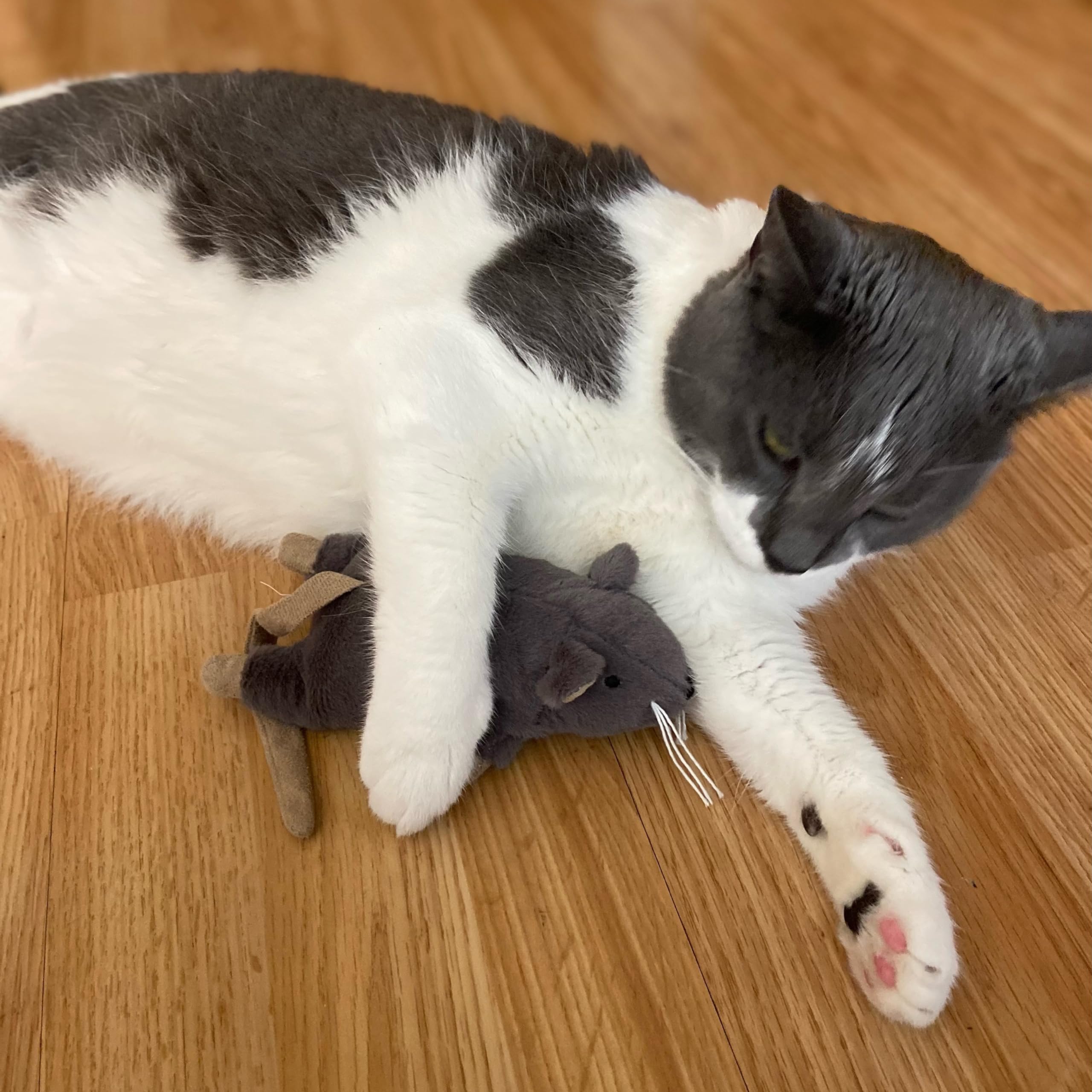 SPOT Souris Bertha, jouet durable prêt pour morsures et coups.
