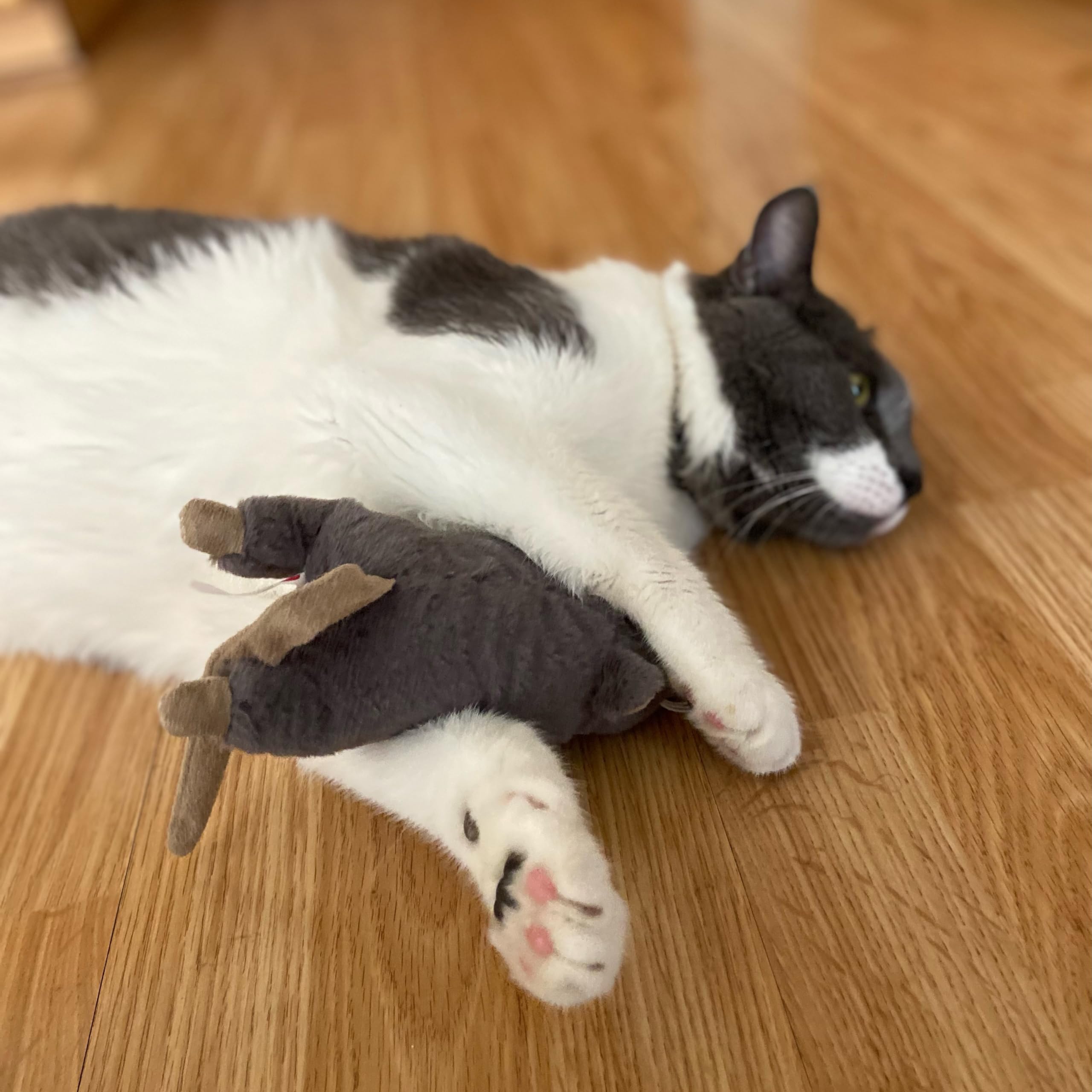 SPOT Souris Bertha, longueur environ 7 pouces pour jeux variés.